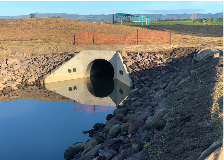 Screenshot 2024-08-08 123930